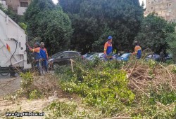 حكومة الانقلاب تقطع الأشجار... إزالة غابة لإيواء متضرري نزلة السمان