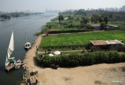 حتى لا يصبح مناخها مثل "الخليج".. خبير يحذر من "التوسع" في مصر