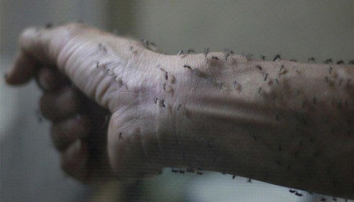 الوفيات تزداد في إسرائيل وتأهب إقليمي.. "حمى النيل" يثير الهلع بالشرق الأوسط