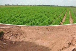خبير وأكاديمي: "الطمي" خلف السد العالي قطار الذهب ويكفي لاستصلاح 5% من مساحة توشكى المزروعة
