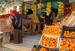 نقيب الفلاحين: 20% زيادة في أسعار الخضروات والفاكهة بعد زيادة أسعار الوقود