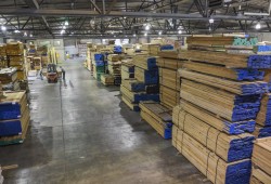 الأبلكاش يصعد.. تعرف على أسعار الأخشاب في الأسواق المصرية