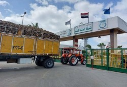 أرباح الدلتا للسكر تتراجع 14% خلال النصف الأول من العام الجاري