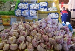 نقيب الفلاحين: ارتفاع سعر كيلو الثوم لـ 80 جنيهًا