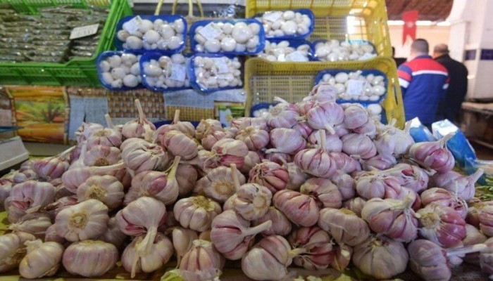 نقيب الفلاحين: ارتفاع سعر كيلو الثوم لـ 80 جنيهًا
