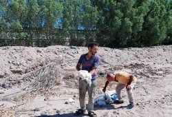 نفوق 5 آلاف دجاجة بسبب قطع الكهرباء عن 50 مزرعة في طور سيناء