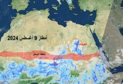 خبير جيولجي: أمطار غزيرة لم تحدث منذ مئات السنين على الحدود المصرية-السودانية