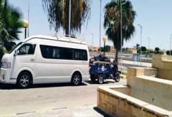 في بلاد الركنة ب2000 جنيه وعرض أزياء الكلاب.. الساحل الشمالي عنوان شعب وشعب