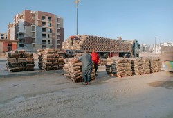 أسعار الحديد والأسمنت تصعد في الأسواق المصرية اليوم الخميس