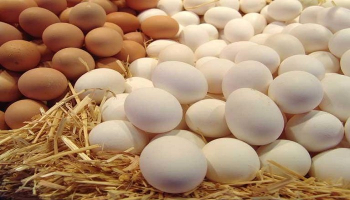 ارتفاع أسعار كرتونة البيض اليوم الأحد في الأسواق المصرية