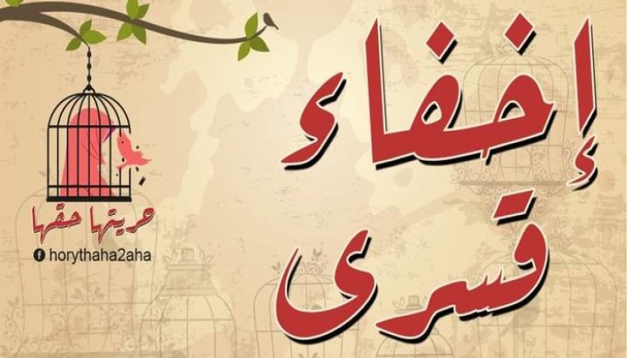 ظهور 13 من المختفين قسريا بنيابة أمن الدولة العليا بينهم سيدة