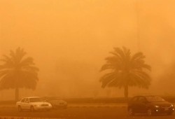 أمطار تصل لرعدية ورياح وحرارة.. حالة الطقس اليوم الخميس