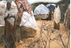 القرن الأفريقى ساحة المعركة العالمية الجديدة