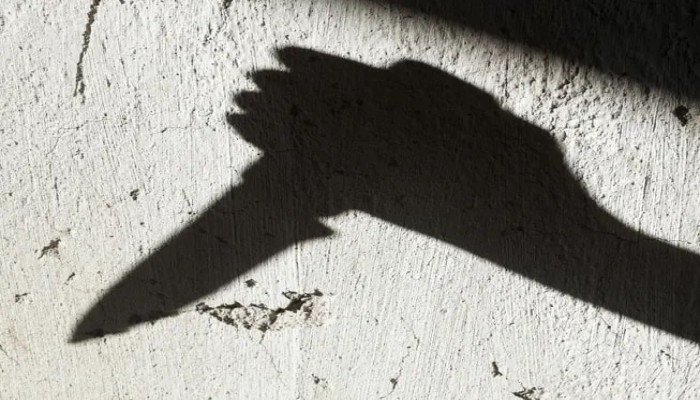 بسبب مراهنات أونلاين.. حفيد يقتل جدته في مصر ليسرقها
