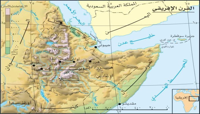 القرن الأفريقي وتحركات مصر العسكرية ورسائلها لإثيوبيا وداعميه