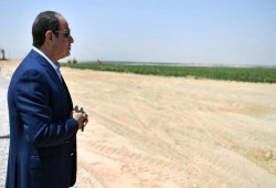 حكومة الانقلاب تعتزم قصر صرف الأسمدة المدعمة على 8 محاصيل