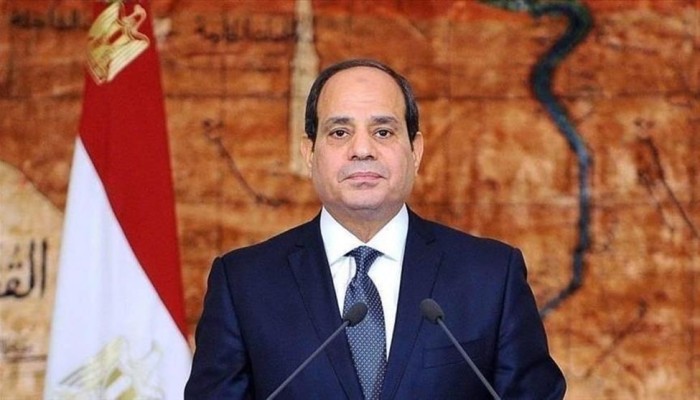 السيسي يدفن الخبرات: مصر تتحول إلى 'دولة الأستبن"