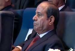 حملة شعبية للضغط على الكونغرس لوقف تمويل نظام السيسي