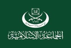 مسؤول المكتب السياسي للجماعة الإسلامية بلبنان لـ"نافذة مصر": جاهزون للدفاع عن لبنان والمقاومة سترد على جريمة "البايجر"