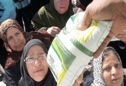 حكومة الانقلاب تستورد كميات كبيرة من السكر لسد العجز.. ومواطنون يشكون من وصول الكيلو لـ 35 جنيه