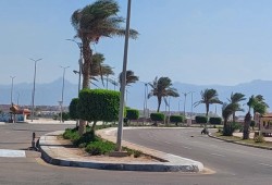 أجواء حارة وشبورة مائية.. الأرصاد تعلن تفاصيل طقس الثلاثاء بدرجات الحرارة