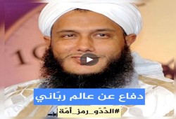 أكاديمي سعودي: الددو رمز أمة تستهدفه أكاذيب "العربية"