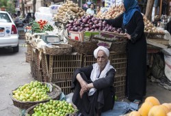 تجارة الخضروات والفواكه في مصر: «خسائر مقلقة وديون وتلف متزايد في زمن السيسي»