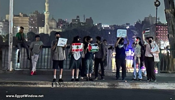 بالفيديو.. أمن الانقلاب يعتقل متضامنين مع فلسطين ولبنان في مظاهرة بالقاهرة