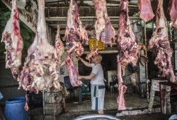 ارتفاع جنوني في أسعار اللحوم في مصر: معاناة المواطنين وتبعات السياسات الفاشلة