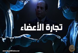 تحت وطأة الفقر: تجارة الأعضاء تنتعش في مصر عبر وسطاء المقاهي ومنشورات الفيسبوك