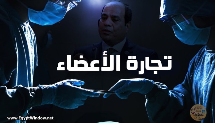 تحت وطأة الفقر: تجارة الأعضاء تنتعش في مصر عبر وسطاء المقاهي ومنشورات الفيسبوك