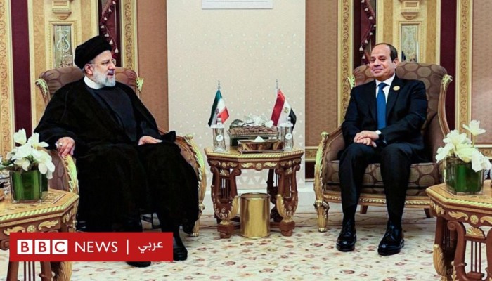 زيارة إيران إلى مصر: محاولة تقارب أم بحث عن بدائل؟