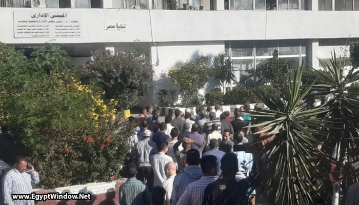 أزمة مصنع الدلتا للسكر بكفر الشيخ.. فساد مالي وإداري ووقف الإنتاج