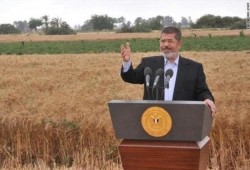 بين حلم الاكتفاء الذاتي أيام الرئيس مرسي والتوسع في الاستيراد بعهد السيسي: واقع مرير للأمن الغذائي في مصر