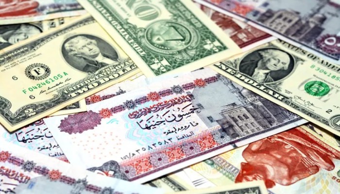 مصر: بين الفشل الاقتصادي وملاحقة الكوادر الاقتصادية