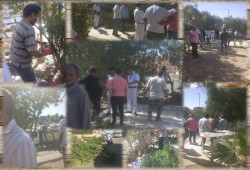 مذبحة جديدة لأشجار مدينة بدر