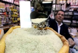 لارتفاع تكاليف الإنتاج...ارتفاع أسعار الأرز في موسم الحصاد