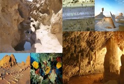 المحميات الطبيعية في مصر: ثروات وطنية مهدرة تحت وطأة الإهمال والفوضى