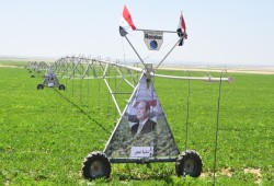 فوضى العسكر.."جهاز أراضي  مستقبل مصر" يزيل زراعات المستثمرين ومزارع الدواجن رغم إنفاق الملايين وشرائها بعقود رسمية