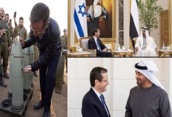 محلل فلسطيني: كتاب "الحرب" رسخ تآمر محمد بن زايد على غزة