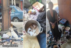 إلى السيسي وعساكره والغارقين بنعيم القصور.. الفقر والجوع يدفعان سيدة بالجيزة إلى ذبح الكلاب والقطط وتناول لحومها (فيديو)