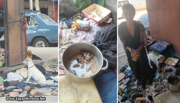 إلى السيسي وعساكره والغارقين بنعيم القصور.. الفقر والجوع يدفعان سيدة بالجيزة إلى ذبح الكلاب والقطط وتناول لحومها (فيديو)