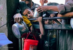 تضامن في العواصم الغربية مع الشعب الفلسطيني وعنصرية تطال الأطفال