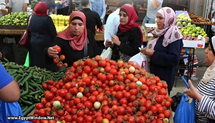 السياسي أنور الهواري مستاء من خنوع المصريين أمام فشل حكومة السيسي..ماذا قال؟