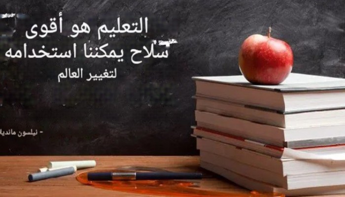 التعليم .. ركائز الرؤية الغائبة