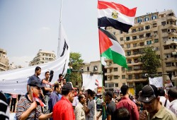 شاهد..ملامح من حب المصريين لفلسطين وشعبها