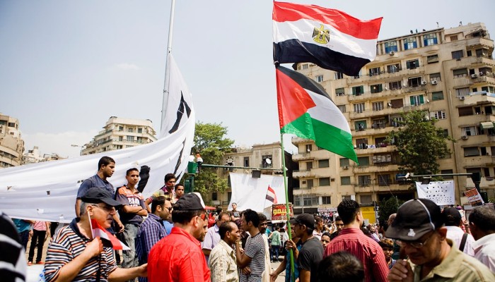 شاهد..ملامح من حب المصريين لفلسطين وشعبها
