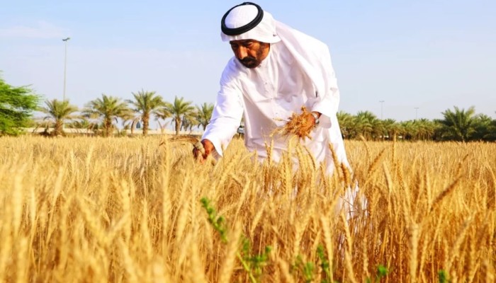 أصول مصر للبيع .. الإمارات تسعى للاستحواذ على 80 ألف فدان جديدة في توشكى والعوينات والصالحية