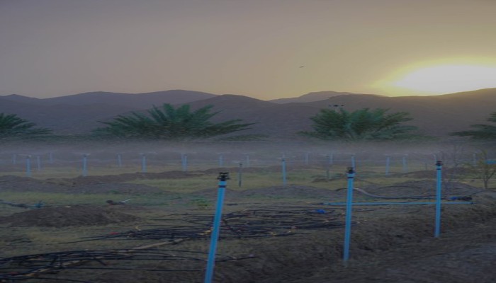 "الظاهرة" الإماراتية تستحوذ على آلاف الأفدنة الزراعية بمصر...والذباب الإلكتروني يحتفل بضياع الأمن الغذائي!!
