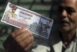 متوقع وصول الأخضر لـ 75 جنيهًا .. شركات الخليج لا تتمكن من تحويل أرباحها الدولارية للخارج